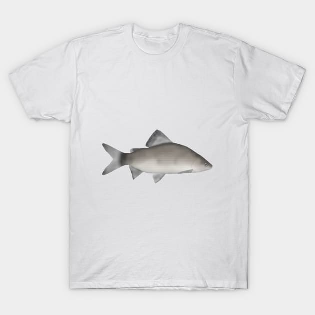 Perch T-Shirt by FishFolkArt
